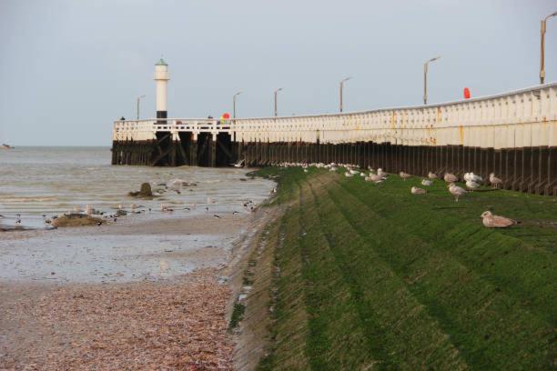 Residentie Den Oever 8 Nieuwpoort Dış mekan fotoğraf